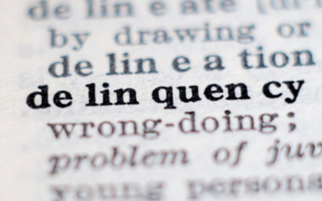 Assessment Collection Delinquency