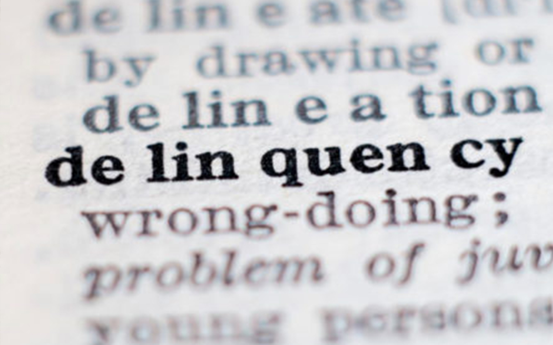 Assessment Collection Delinquency